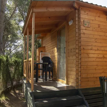 Appealing With Garden Holiday home Miami Playa